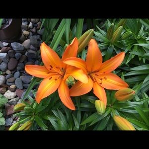 Meet your Posher, April